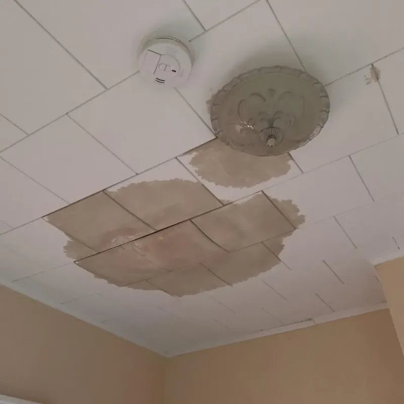 Ceiling Water Damage Repair in Marion County, OH