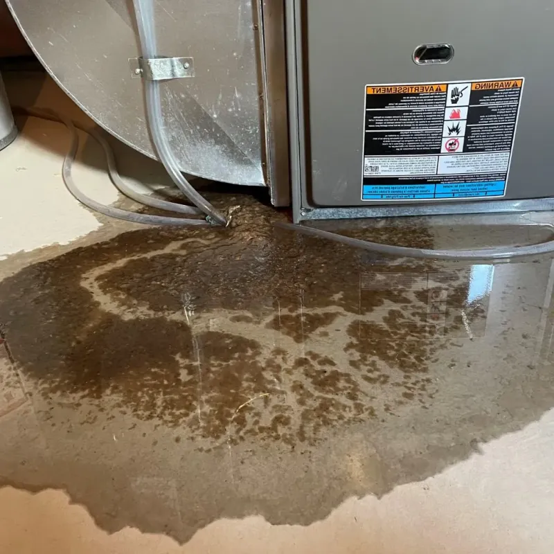 Pipe Burst and Leak Restoration in Marion County, OH