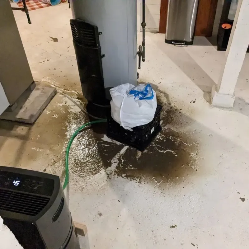 Sewage Backup Cleanup Service in Marion County, OH